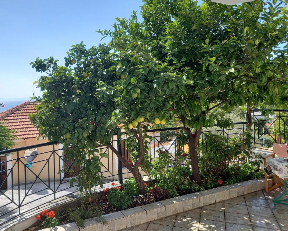 Villa Πηλιο- Το Εξοχικο Τησ Αννασ- Αφησσοσ Áfissos Esterno foto