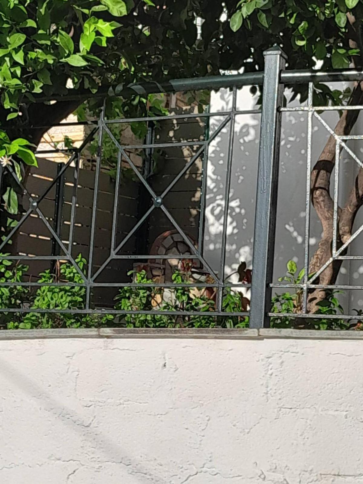 Villa Πηλιο- Το Εξοχικο Τησ Αννασ- Αφησσοσ Áfissos Esterno foto